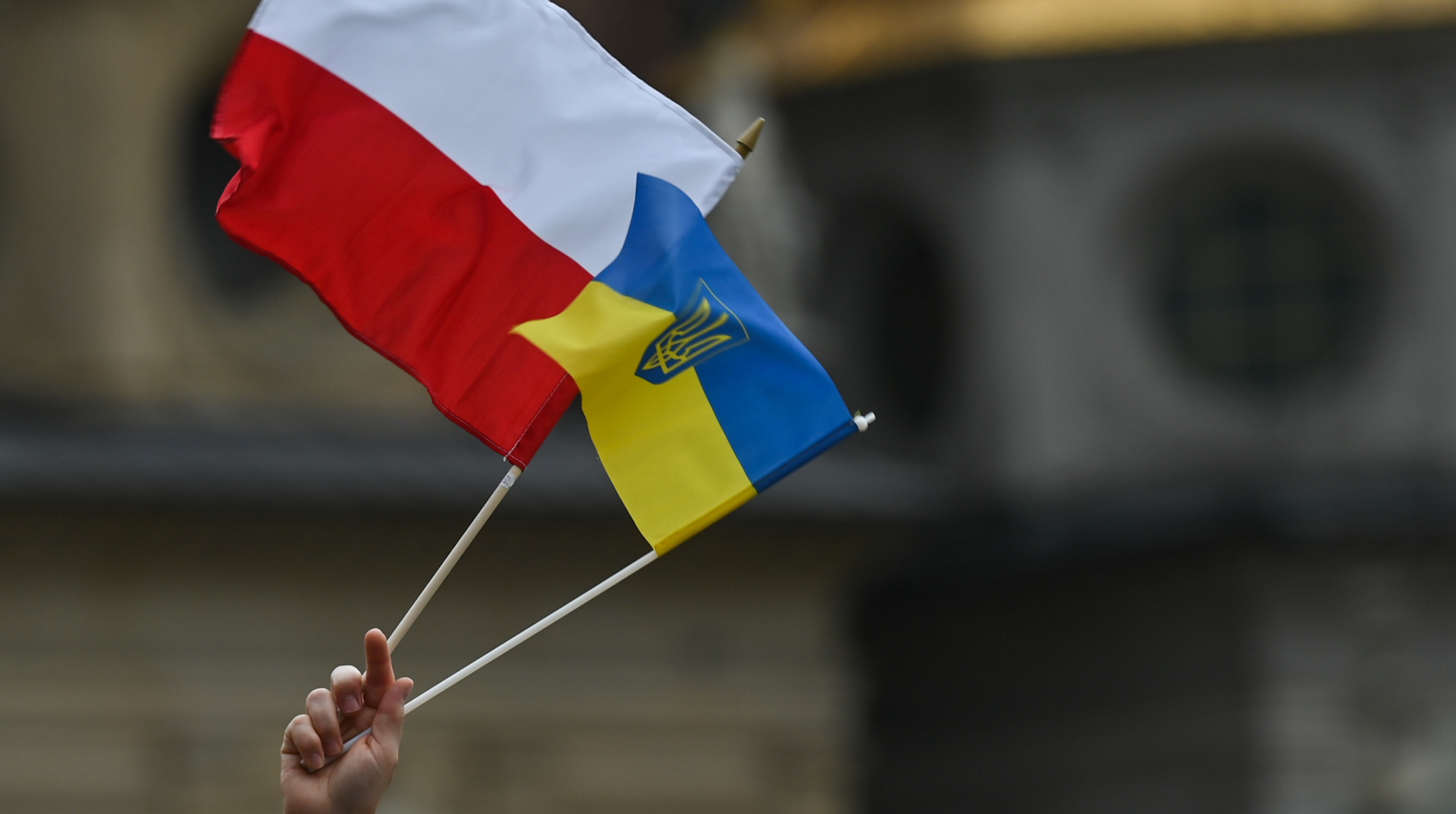Most Ukrainian Refugees in Poland Plan to Return Home; Textbook Repairs Lag as Publishers Foot the Bill